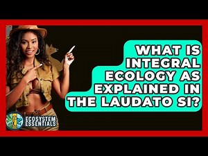 What Is Integral Ecology As Explained In The Laudato Si? - Ecosystem Essentials