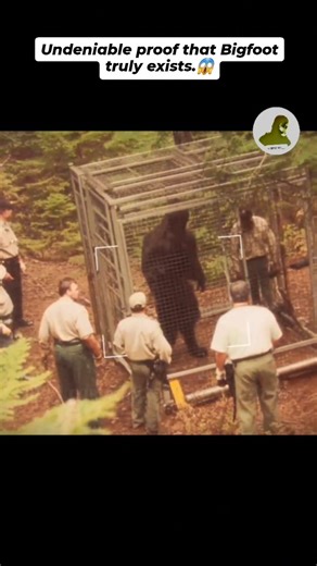 VICKY SHARU on Instagram: "Have Scientists Finally Captured Bigfoot? Shocking footage claims to show officials placing a towering creature, believed to be Bigfoot, inside a secure cage in the forest. For decades, Bigfoot has been dismissed as folklore, but is this the moment that turns myth into reality? #bigfoot #mysterycreature #unexplained #phenomenon #cryptozoology #forest #creature Is this undeniable proof that Bigfoot truly exists, or just another staged hoax to fuel the legend?"