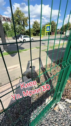 NOBLE CARS на TikTok