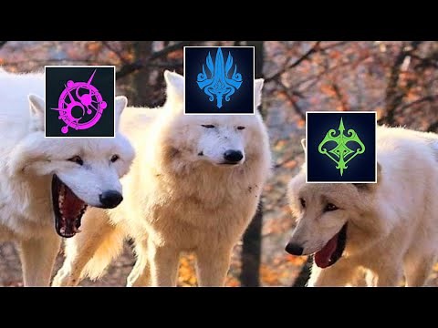 AION 8.4 Skill Changes 06/04/2022