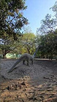 Sakkarbaug ma joya khatarnak Saap ane 100 varsh juna Kachba! 🐢🔥#shorts #gujarati #minivlog #zoo