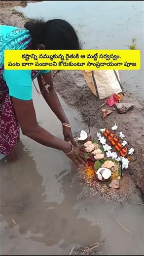 Sowing Seeds with Mother Earth’s Blessings #viralvideo #trendingreels #viralnow #seedtime #shorts