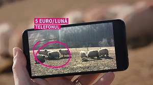 70K views · 459 reactions | Pregătește-te din timp pentru luna cadourilor. Portează-te la Telekom și ai telefoane Samsung în rate, fără dobândă și 0 avans, împreună cu abonamentul Mobil 6, cu 50% reducere în primele 12 luni de la portare. Surprinde-ți persoana iubită cu un super telefon. Detalii aici: https://www.telekom.ro/oferta-portare/ | Telekom Romania Mobile | Facebook