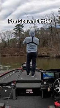 Finding those pre spawners can get tricky. But when you do, they're BIGS. #fishing #crappie