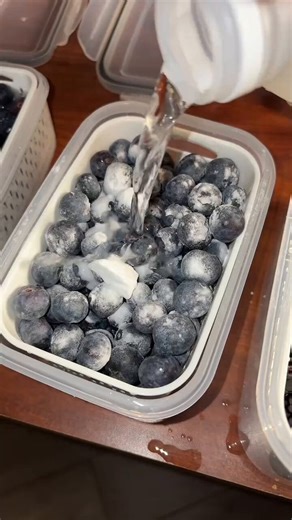 🍇 Say Goodbye to Mushy Berries! 🍓​Is it just me, or do berries go bad the second you bring them home? 😩 This hack looks like a total game-changer for keeping produce fresh for weeks:​Ditch the plastic: Get them out of those grocery store containers ASAP.​The "Spa Day": Soak them in a baking soda and vinegar bath for 10 mins.​Keep ‘em Dry: Store in a ventilated container with a paper towel at the bottom to catch moisture.​I haven’t snagged these specific "stilted" containers yet, but I’m tempt