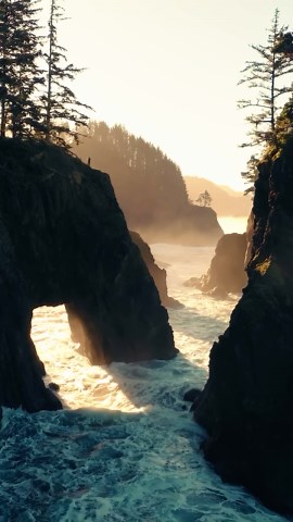 Essential Photography Techniques Every Beginner Should Know