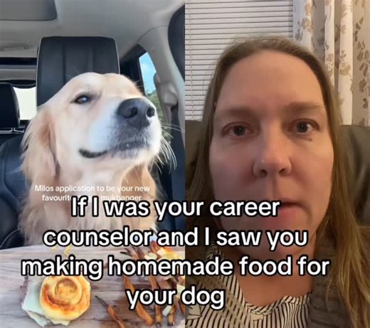 Jamie Beck on Instagram: "There are a lot of pet food companies near this school including Hill’s Diet. Their internships start in the mid $20 an hour range and many of their jobs psy $50-$80k with just a bachelors. Check out more animal degrees or more food degrees on my substack. #pets #dogfood #culinaryschool #foodscience #dogs"
