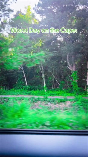 The Unchanging Beauty of Cape Cod