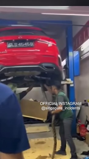 Python under a car | Singapore Incidents
