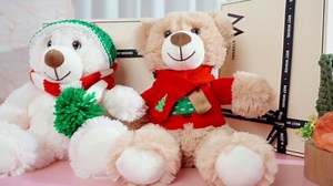 Libima 5 Pack 14" Bears Stuffed Animals with Voice Recorder Set 30 Seconds Voice Sound Recorder Module Plush Bear Cute Stuffed Animal Plush Toys with Zipper Sound Box Recordable Heart (Colorful)