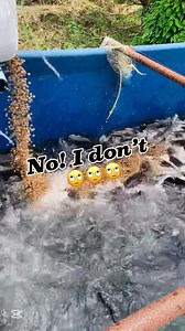 19K views · 264 reactions | Why I prefer this  #everyonefollowers #trending #trendingreels #viralvideochallenge | Florence Austin Okafor | Facebook