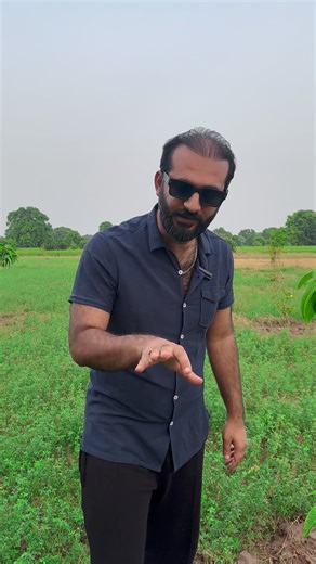 21K views · 1.2K reactions | We've all seen the massive, expensive...