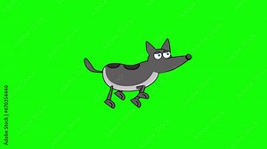 Cartoon grey wolf walking animtion in green screen