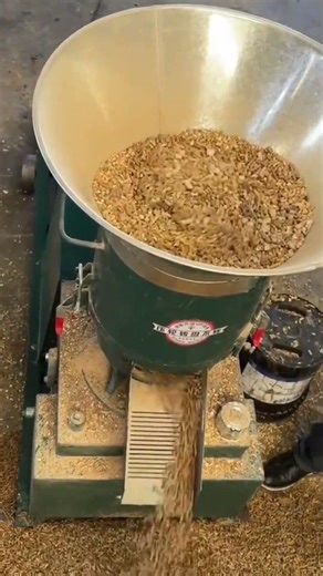 pellet making machine process #shorts