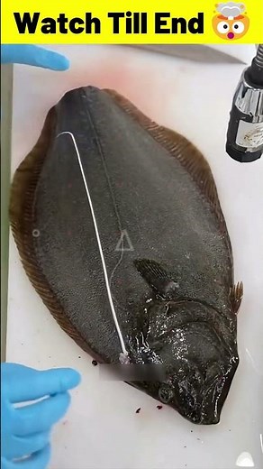 Japan’s Shocking Fish Cutting Method! 😳 | The Ikejime Technique Explained #shorts #fishcutting