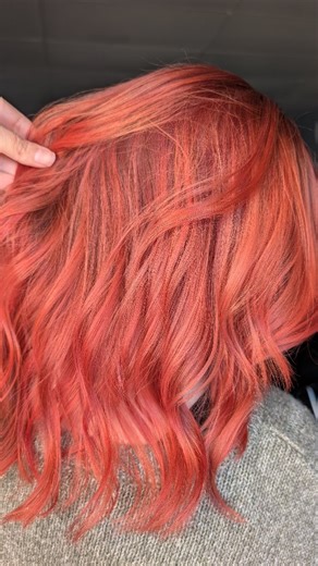 14 reactions | Color transformation by @color_me_rosy | Wild & Colorful Hair Lounge | Facebook