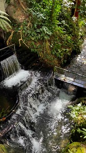 Rio Villa Nuevo Mineral Water Resort on Reels