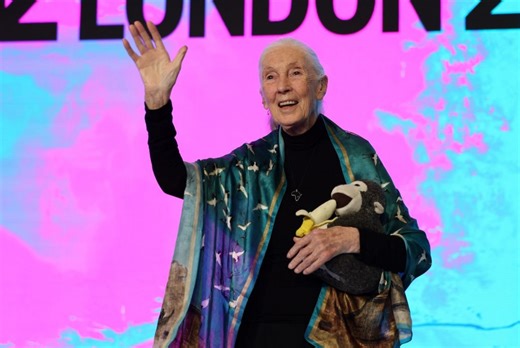 Remembering Jane Goodall and how she changed the way people see animals