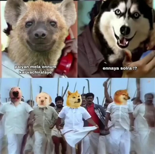 cheems_boy_offl on Instagram: "Cheems uhh daa 💥📈 Follow:@cheems_boy_offl #viralvideos #shorts #viral #reach #jokes #reelsexplore #shorts #1m #trending #loveislove #explore #funny #comedy #memes #jokes #entertainment #5ookview #reach #reelkarosharekaro"