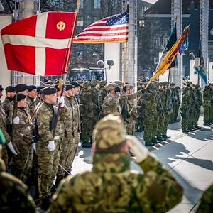 The Royal Danish Air Force