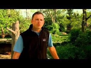 Jack Hanna's Into the Wild Episode 511 Conservation Segment