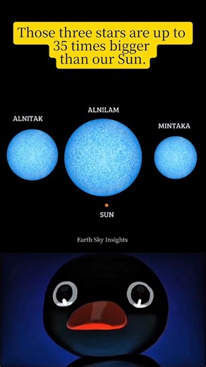 The 3 Stars of Orion’s Belt Are Bigger Than the Sun! #shorts