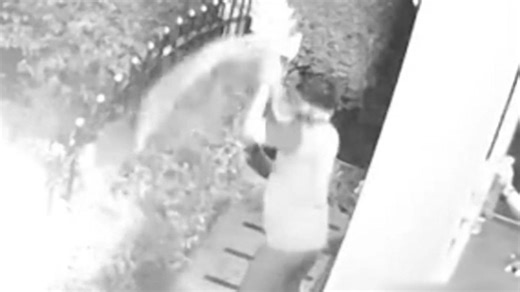 Alles für seine Katze! Besitzer schleudert Python durch die Luft