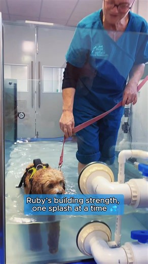 Ruby's Hydrotherapy Journey: Building Strength