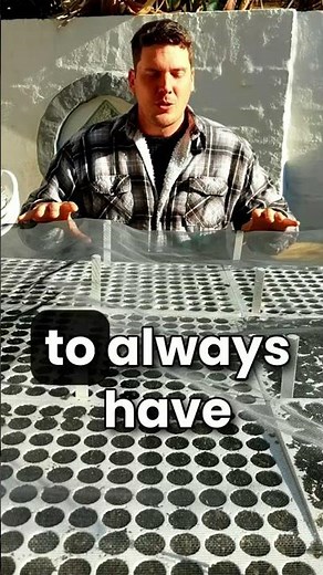 Surface sowing seeds? Watch this first! 🌱