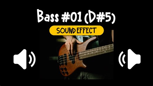 低音 #01 (D#5) 乐器 音效