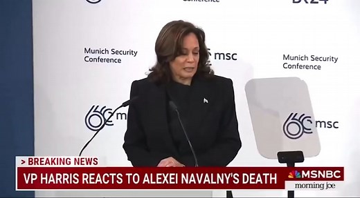 Kamala Harris on Alexei Navalny's Alleged Death in Russia