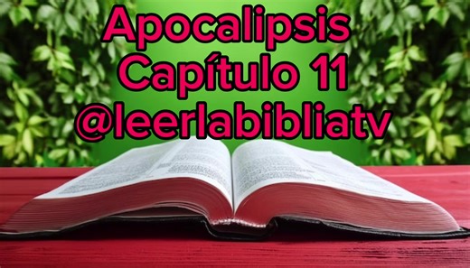 leerlabibliatv (@leerlabibliatv)’s videos with sonido original - leerlabibliatv