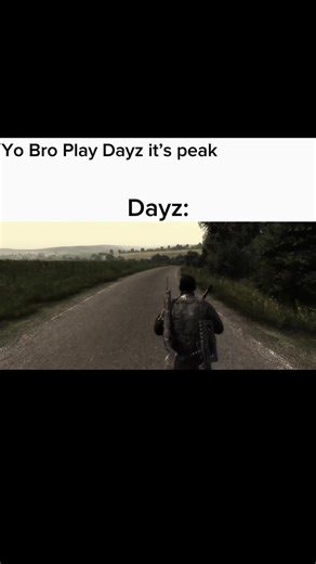 Still Playing DayZ: Gameplay Highlights and Tips