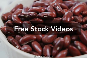 Best Kidney Videos