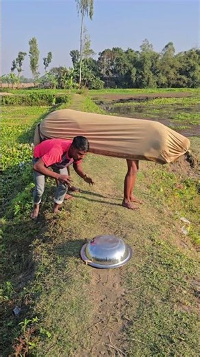 The cow came from behind.