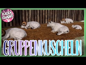 Gruppenkuscheln 🦓 Planet Zoo Staffel 2 #41