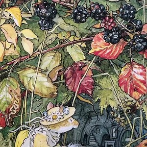 ‪It’s launch day! The new 40th anniversary edition of The Complete Brambly Hedge from @harpercollinsch is out now. A perfect time to use the original 1980 launch bookmark! Available via our website (see bio link) and bookshops. https://www.amazon.co.uk/Complete-Brambly-Hedge/dp/0007450168 #launchday #childrensbooks #kidsbooks #bookstagram #throwbackthursday #bramblyhedge40 #autumn #newbook #bramblyhedge | Brambly Hedge Official