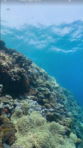 Underwater Google Earth!