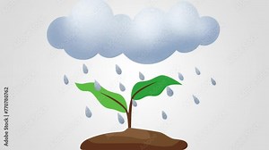 Animation of tree growth from seedling to full growth