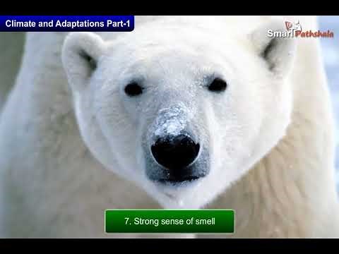 NCERT CBSE Class 7 Science Ch 7 Weather Climate and Adaptations of Animals to Climate Part 3-I