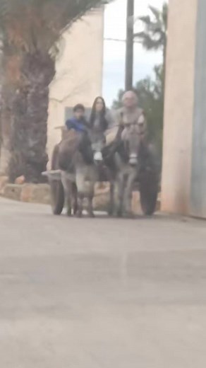 Martin Semmelrogge on Reels