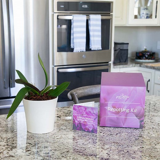 Repotting Kit for Premium Orchids