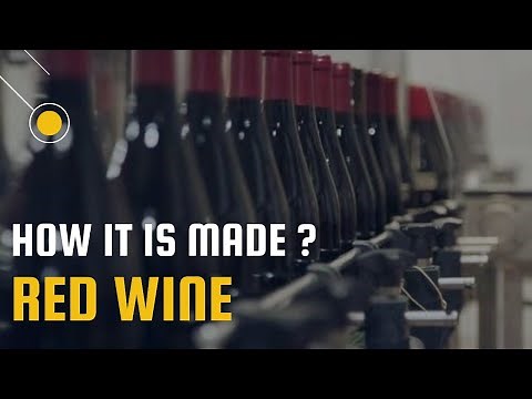 How Red Wine is Made I Process of making Red Wine