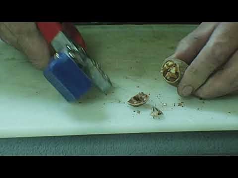 Pecan Shelling with The Texan York Sheller-Nut Cracker