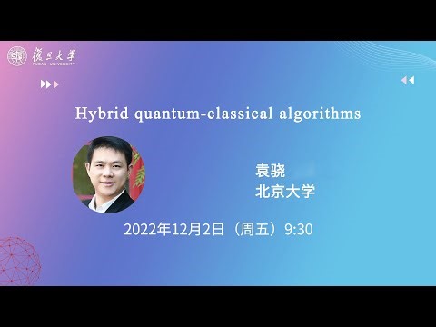 Near-term quantum simulation and its applications | 复旦理论物理报告会