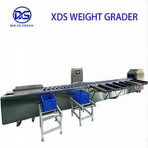 [Hot Item] High-Performance Fruit & Vegetable Grading Machine with Customizable Options and High Output