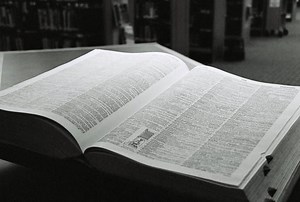 The Use of the Modifier More in English