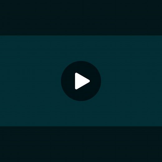 Discover the Beauty of a Serene Forest Scene