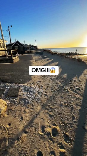 Homes Teetering on the Edge of the Ocean: A Heartbreaking Reality