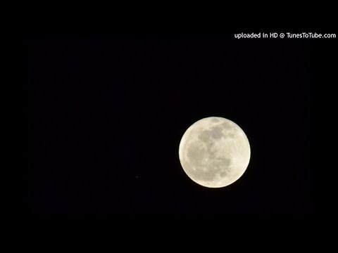 Hòa Tấu – Tiêu Cầm Khúc (Tiếu Ngạo Giang Hồ 1996 OST)